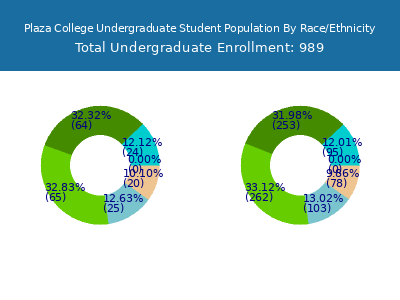 Plaza College 2025 Undergraduate Enrollment by Gender and Race chart