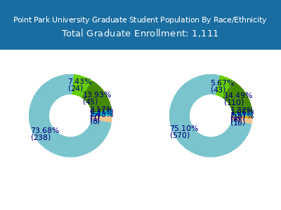 Point Park University 2025 Graduate Enrollment by Gender and Race chart