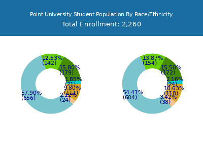 Point University 2025 Student Population by Gender and Race chart
