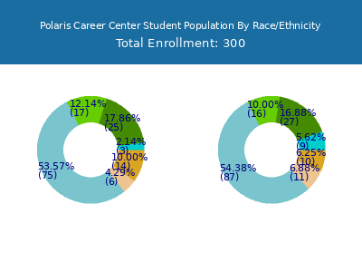 Polaris Career Center 2025 Student Population by Gender and Race chart