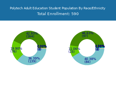 Polytech Adult Education 2025 Student Population by Gender and Race chart