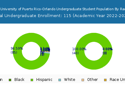 Polytechnic University of Puerto Rico-Orlando 2023 Undergraduate Enrollment by Gender and Race chart