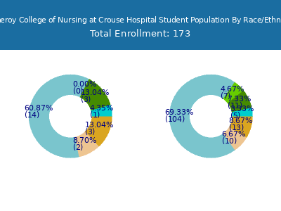 Pomeroy College of Nursing at Crouse Hospital 2025 Student Population by Gender and Race chart