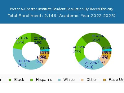 Porter & Chester Institute 2023 Student Population by Gender and Race chart