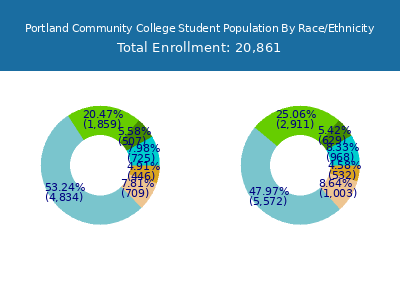 Portland Community College 2025 Student Population by Gender and Race chart