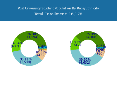 Post University 2025 Student Population by Gender and Race chart