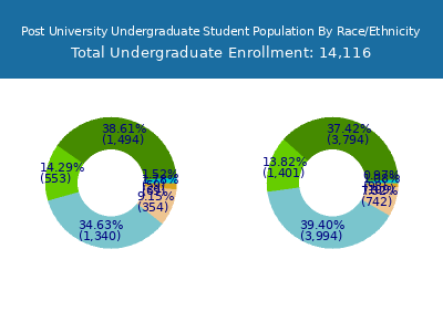 Post University 2025 Undergraduate Enrollment by Gender and Race chart