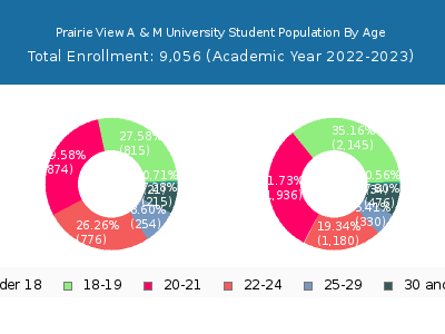 Prairie View A & M University 2023 Student Population Age Diversity Pie chart