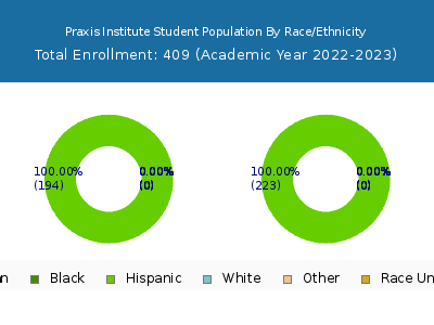 Praxis Institute 2023 Student Population by Gender and Race chart