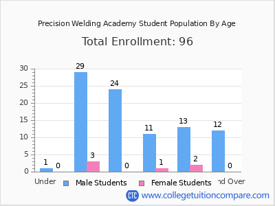 Precision Welding Academy 2025 Student Population by Age chart