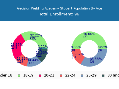 Precision Welding Academy 2025 Student Population Age Diversity Pie chart
