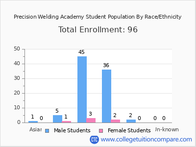 Precision Welding Academy 2025 Student Population by Gender and Race chart