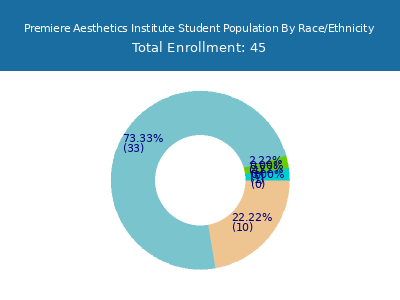 Premiere Aesthetics Institute 2025 Student Population by Gender and Race chart