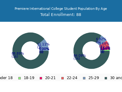 Premiere International College 2024 Student Population Age Diversity Pie chart