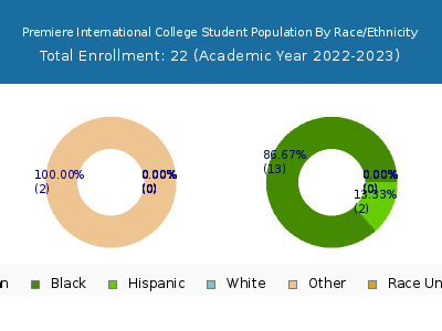Premiere International College 2023 Student Population by Gender and Race chart