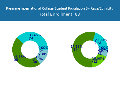 Premiere International College 2025 Student Population by Gender and Race chart