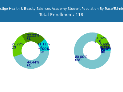 Prestige Health & Beauty Sciences Academy 2025 Student Population by Gender and Race chart