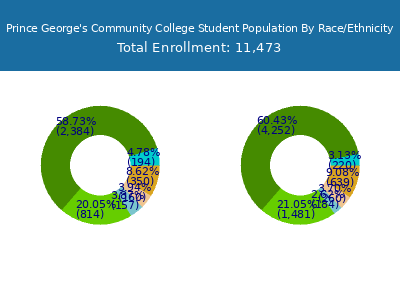 Prince George's Community College 2025 Student Population by Gender and Race chart