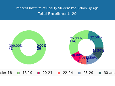 Princess Institute of Beauty 2024 Student Population Age Diversity Pie chart