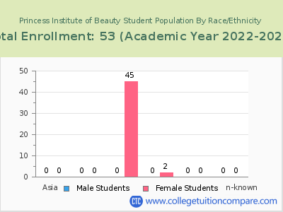 Princess Institute of Beauty 2023 Student Population by Gender and Race chart