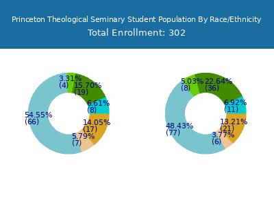 Princeton Theological Seminary 2025 Student Population by Gender and Race chart