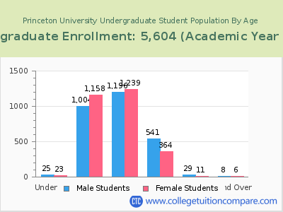Princeton University 2023 Undergraduate Enrollment by Age chart