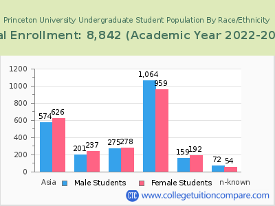 Princeton University 2023 Undergraduate Enrollment by Gender and Race chart