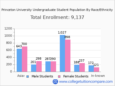 Princeton University 2025 Undergraduate Enrollment by Gender and Race chart