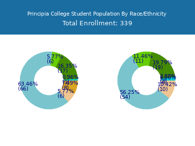 Principia College 2025 Student Population by Gender and Race chart