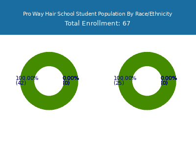 Pro Way Hair School 2025 Student Population by Gender and Race chart