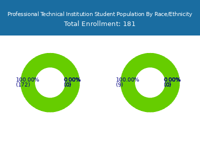 Professional Technical Institution 2025 Student Population by Gender and Race chart