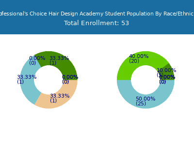 Professional's Choice Hair Design Academy 2025 Student Population by Gender and Race chart