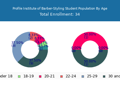 Profile Institute of Barber-Styling 2024 Student Population Age Diversity Pie chart