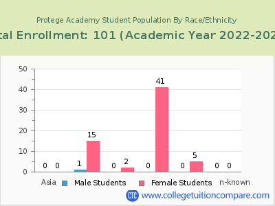 Protege Academy 2023 Student Population by Gender and Race chart