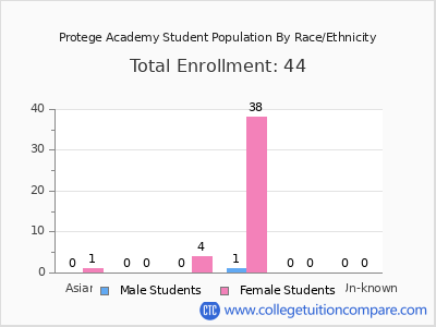 Protege Academy 2025 Student Population by Gender and Race chart