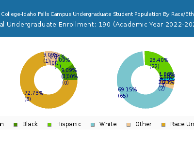 Provo College-Idaho Falls Campus 2023 Undergraduate Enrollment by Gender and Race chart