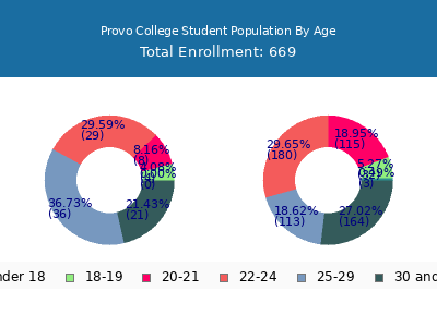 Provo College 2024 Student Population Age Diversity Pie chart