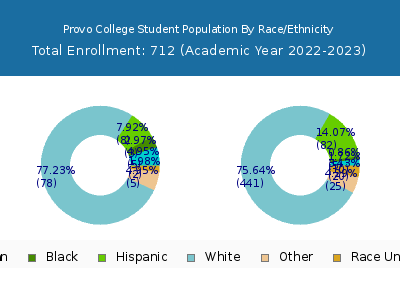 Provo College 2023 Student Population by Gender and Race chart