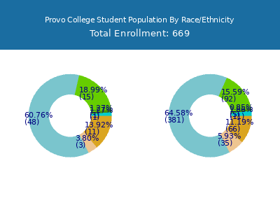 Provo College 2025 Student Population by Gender and Race chart