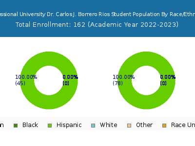 Professional University Dr. Carlos J. Borrero Rios 2023 Student Population by Gender and Race chart