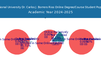 Professional University Dr. Carlos J. Borrero Rios 2025 Online Student Population chart