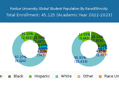 Purdue University Global 2023 Student Population by Gender and Race chart