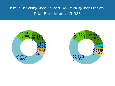 Purdue University Global 2025 Student Population by Gender and Race chart