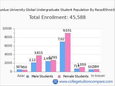 Purdue University Global 2025 Undergraduate Enrollment by Gender and Race chart