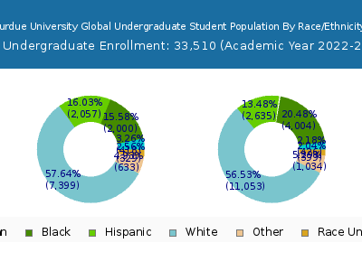 Purdue University Global 2023 Undergraduate Enrollment by Gender and Race chart