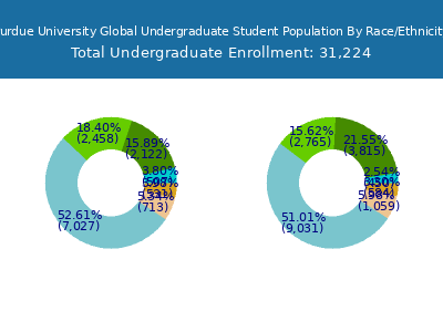 Purdue University Global 2025 Undergraduate Enrollment by Gender and Race chart