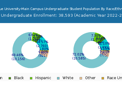 Purdue University-Main Campus 2023 Undergraduate Enrollment by Gender and Race chart