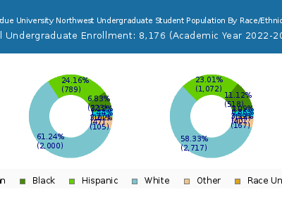 Purdue University Northwest 2023 Undergraduate Enrollment by Gender and Race chart