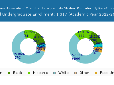 Queens University of Charlotte 2023 Undergraduate Enrollment by Gender and Race chart
