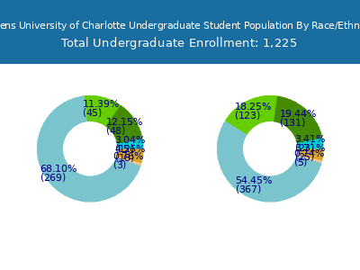 Queens University of Charlotte 2025 Undergraduate Enrollment by Gender and Race chart